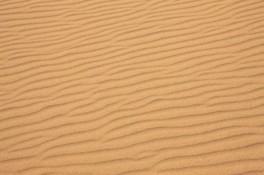 Kum dokusuna yakından bak. Kum tepeciği. Soyut kum dokusu