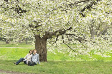 Genç Asyalı çift kiraz çiçekleri parkında birlikte dinleniyor. 
