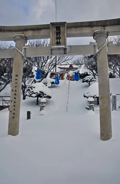 Naturskön Bild Forntida Japanskt Tempel Snötäckt Hokkaido Japan — Stockfoto