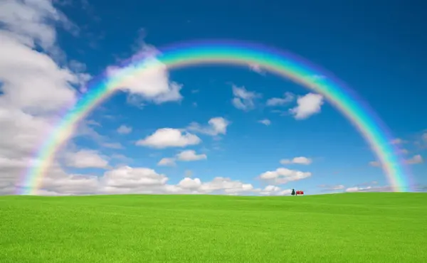 beautiful colorful rainbow over green meadow