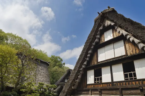 Oud Houten Huis Met Rieten Dak Japan — Stockfoto
