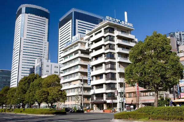Nuevos Edificios Apartamentos Modernos Horizonte Ciudad Hermosa Vista Fondo — Foto de Stock