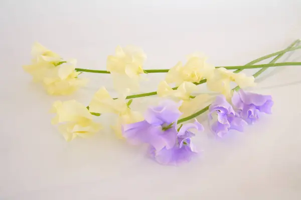 Ένα Μπουκέτο Λουλούδια Μια Λευκή Επιφάνεια — Φωτογραφία Αρχείου