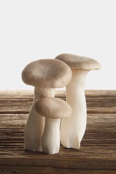 Fresh Raw Mushrooms Background Close — Stock Photo, Image