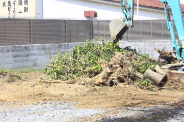 Kazıcı, güneşli gün ışığında sökülmüş ağaç dallarını hareket ettiriyor.
