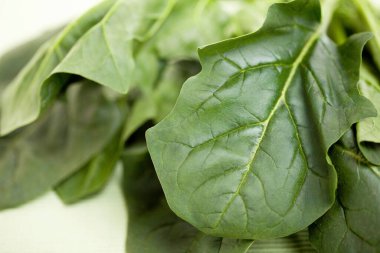 Arka planda taze, yeşil ıspanak yaprakları