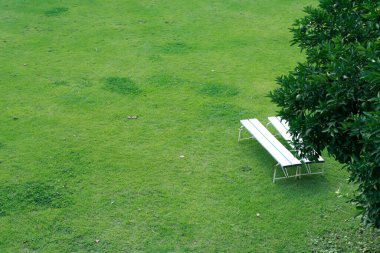 Yeşil Şehir Parkı tezgah