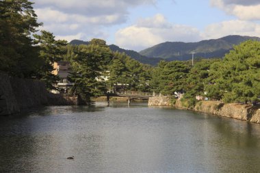 Sakin nehir ağaçları, dağları ve mavi gökyüzünü yansıtıyor.