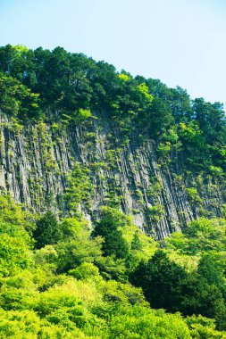 dağ zirvesi ve yeşil ağaçlar 