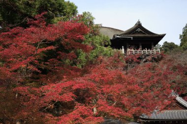 Güzel antik Japon tapınağının manzaralı görüntüsü.