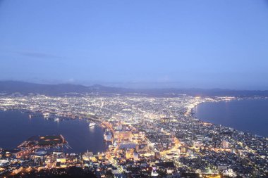 Gece şehir manzarasının havadan görüntüsü 
