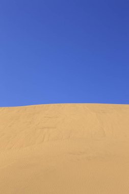 Çöl manzarası, mavi gökyüzünün altındaki kum tepeleri.