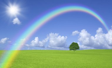 lone tree ve rainbow ile yeşil alan