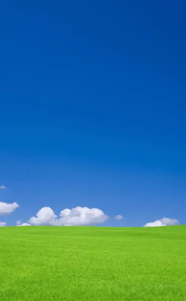 Güzel Yeşil Tarla Mavi Gökyüzü Kırsalda — Stok fotoğraf