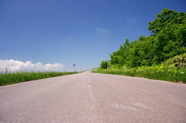 Güneşli bir günde kırsalda boş asfalt yol        