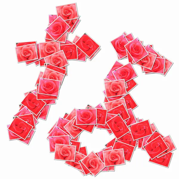 日本象形文字 用红玫瑰打牌制成 — 图库照片