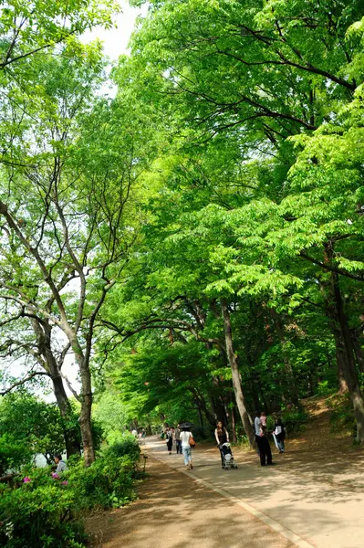 Parkta yürüyen insanlar.