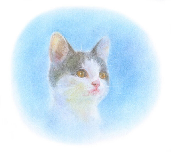 Hand drawn watercolor illustration of cute cat on white background 