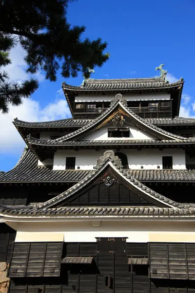 Majestic Matsue Castle Japan Reiseziel — Stockfoto