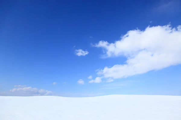 Prachtig Sneeuwveld Tijdens Zonnige Winterdag — Stockfoto
