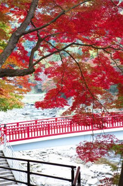 Sonbaharda Koarashi Vadisi