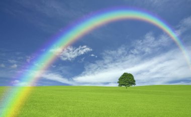 Gökyüzünde gökkuşağı