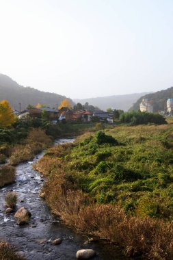 Nehirden akan huzurlu kırsal alan yemyeşil uzak dağlık köy evleri