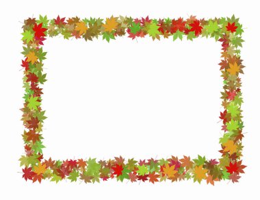 renkli sonbahar akçaağacı beyaz arkaplanda çerçeve bırakır 