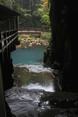 Akiyoshidai Mağarası, Japonların en uzun ve en büyük kireç taşı mağarası. Yamaguchi Bölgesi, Japonya