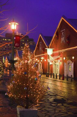 Hakodate Kanemori Kırmızı Tuğla Depoları, Hakodate 'nin ilk ticari deposu, Japonya' daki depolama şirketi aracılığıyla şehrin tarihine tanıklık etti.