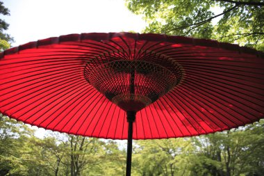 Geleneksel renkli Japon şemsiyesi ve yeşil ağaçlar