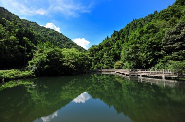Yeşil ağaçları, tepeleri, ormanı ve gölü olan güzel bir manzara. 