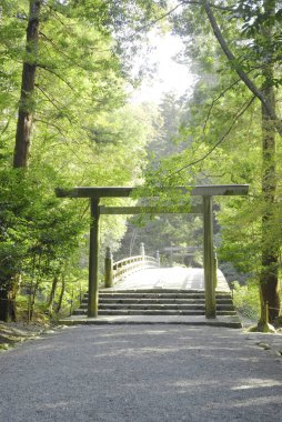 Japonya 'daki parktaki köprüde doğa geçmişi hakkında.