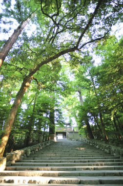 Parkın güzel manzarası