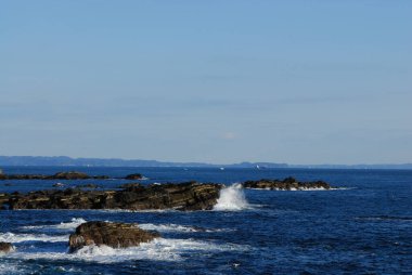 Deniz kıyısının güzel manzarası
