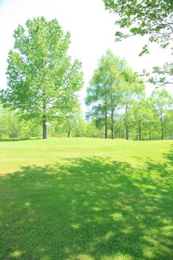 Ağaçlı ve çimenli golf sopası