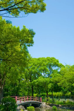 Eski Fujita Konutu Harabe Parkı, Japon Bahçesi. 