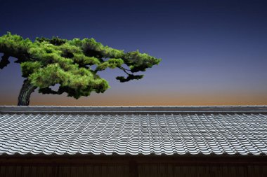 Çatıdaki yeşil ağaç Sakin gece gökyüzünün altında.