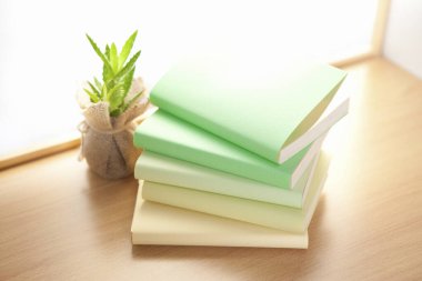 Renkli kaplamalı ve saksılı kitaplar. 