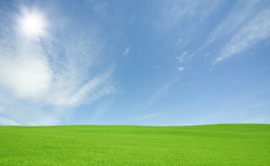 yeşil tarla ve mavi gökyüzü bulutlu