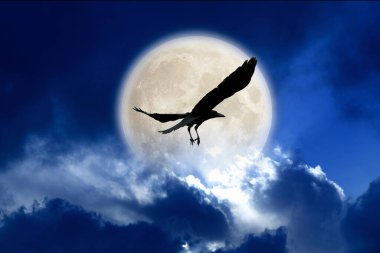 Gece gökyüzünde ay ve uçan kuş.