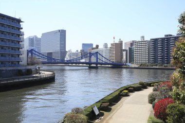 Şehir manzarası güzel manzara, şehir arkaplanı 