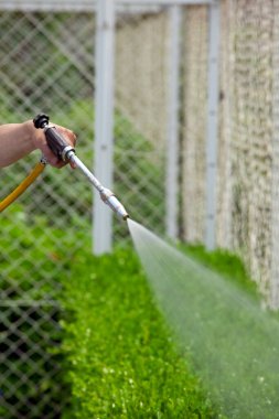 Yazın yeşil bahçeyi sulayan adam. 
