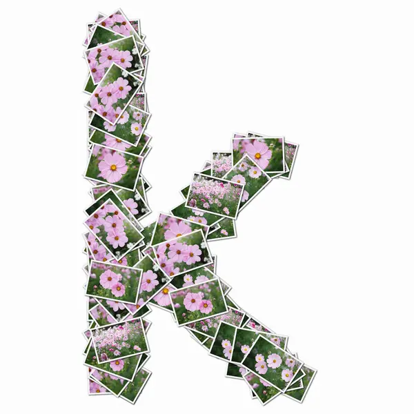 Symbol Gjord Spelkort Med Rosa Blommor — Stockfoto