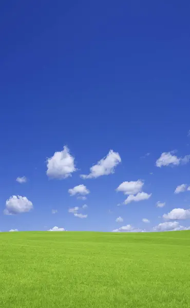Beautiful Green Field Blue Sky Countryside — Stock Photo, Image