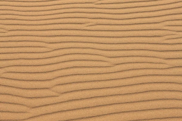 Close up view of sand texture. Sand dune. Abstract sand texture