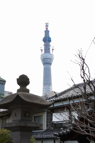 Plano Escénico Hermoso Santuario Japonés Antiguo Tokio Con Torre Skytree — Foto de Stock