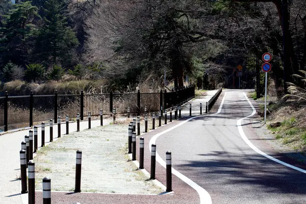 Japonya 'da yaz aylarında ağaçlarla parkta yol.