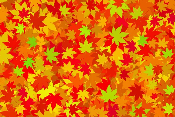 Herfst Kleur Blad Achtergrond — Stockfoto