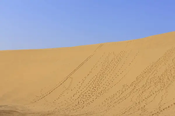 Vista Diurna Deserto Sob Céu Azul — Fotografia de Stock